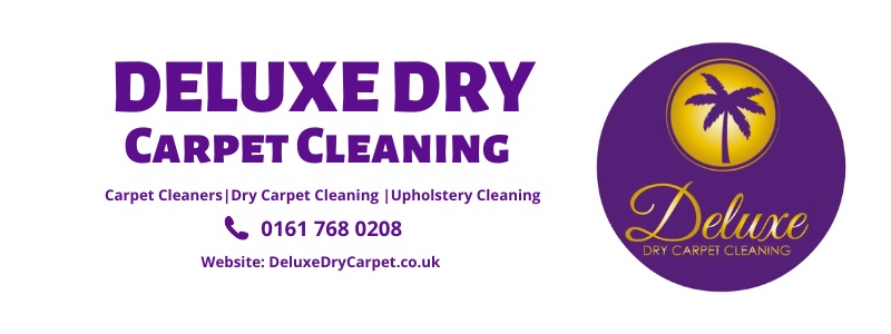  Carpet Cleaning Services-logo